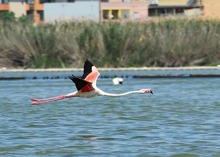 דירה Da Silvana *