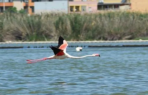 Apartmán Da Silvana *